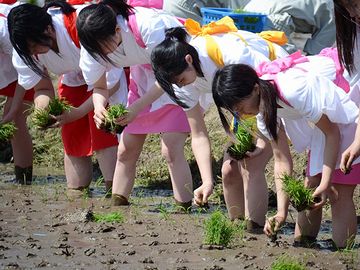 萌えます! 足の太さが、なんともいえず良かです!