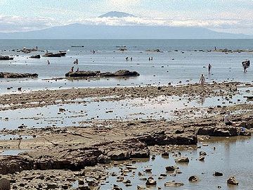 遠浅の鵜ノ崎海岸