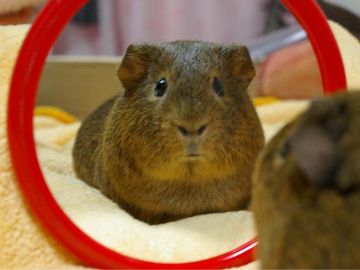 鏡を見なきゃ、自分じゃわからないわよ