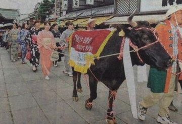 きっと、善光寺のご利益で、地震は来ないでしょう