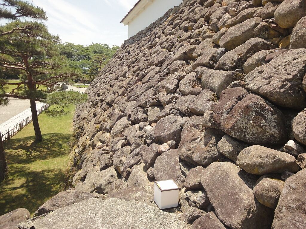 けっこう足がかりがあって登れそうだけどね