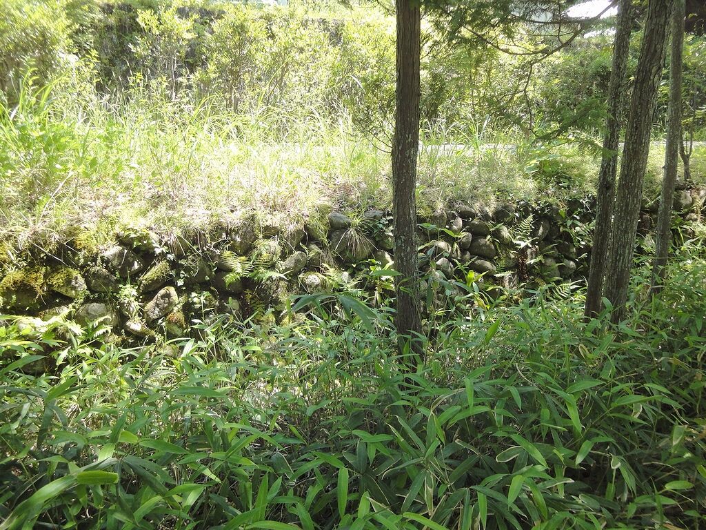 あの石垣は、当時のものじゃないよね