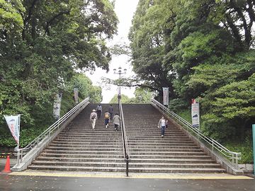 上野が山であることがよくわかります