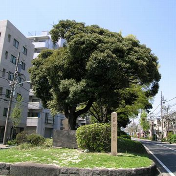 『日光御成道』の「西ヶ原」一里塚（東京都北区）