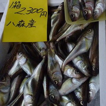 ハタハタと鉱山の町ってことで、終わりでいい?