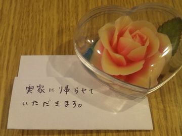 逃げられたわけ?
