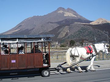 由布院・田園風景を走る辻馬車