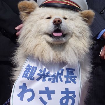 駅長は、これですが