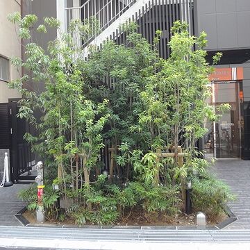 植栽はまだ綺麗