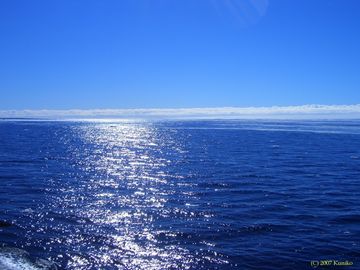 ブルーは海ね?