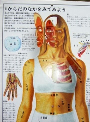 面の皮