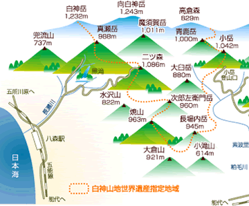 向こうの窓から、白神の連山が垣間見えるでしょ