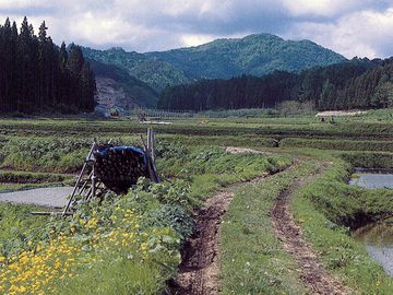 津軽鉄道で『金木』に向かうとき、車窓から右側に見えた山だな