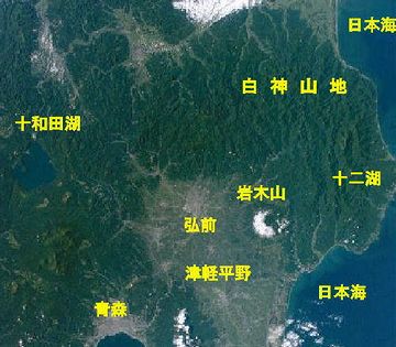 この鳥が、白神山地にいるわけなんだね