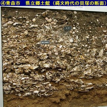 こちらは、明らかなゴミ捨て場の貝塚