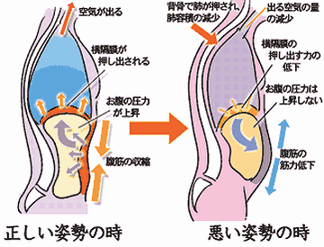消化にも悪いわよ