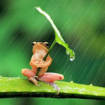 雨の日などは、休み