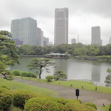 日本庭園と高層ビルの取り合わせ