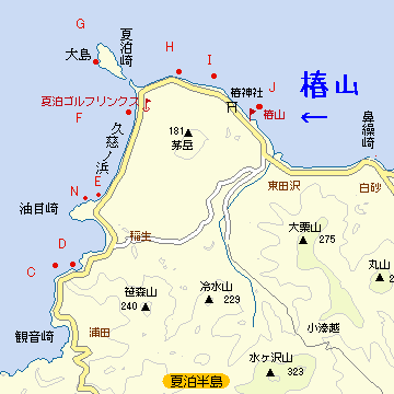 その夏泊半島にも、椿山があるんじゃ