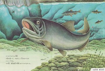 クニマスは辰子からの、悲しい贈り物だった
