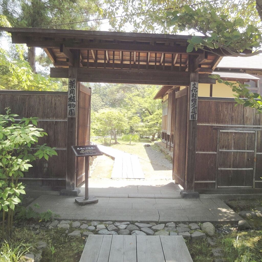 江戸時代の薬用植物園ってことだね