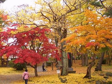 千秋公園・秋は、紅葉