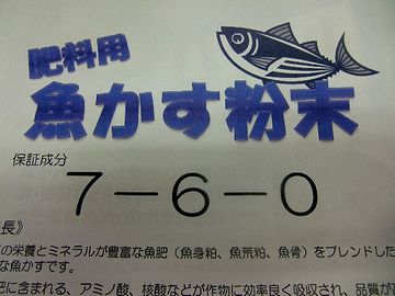 ニシンやイワシは、肥料用の魚粕に加工して出荷したそうです