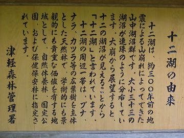 十二湖が出来たのは、1704年です