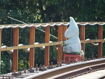 ねずみ男ではありませねん。ムーミンです(千葉県夷隅郡大多喜町にて)。