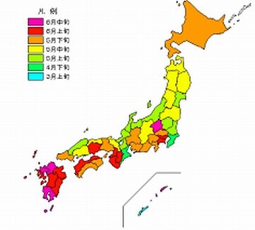 田植えの時期