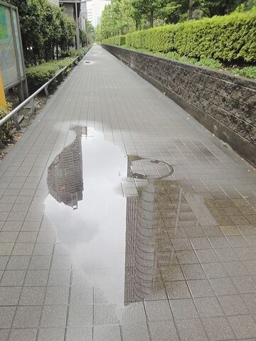 雨もあがったようです