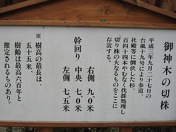 宇奈岐日女神社・切り株の説明板