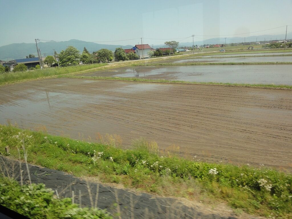 ここはこれから田植えだ