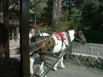 由布院・辻馬車の転回