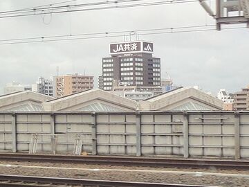 もう、東京とは景色が違います