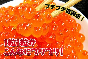 イクラとかの旨さは、歯応え半分だよな