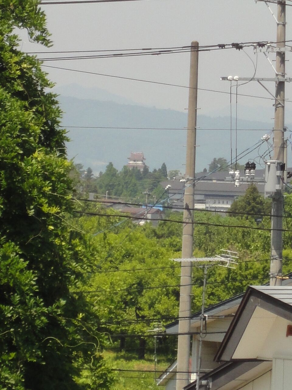 あ、見えた