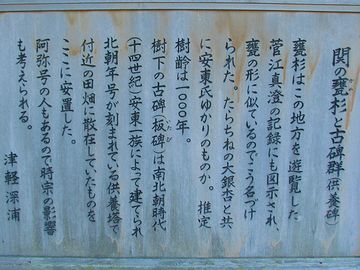 それを、1箇所に集めたんですよ