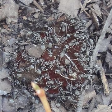 ちょっとキモかった