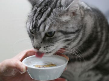 ぬる燗にしますか?