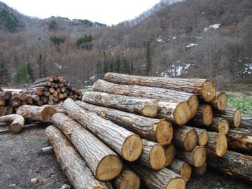 柱用の栗材
