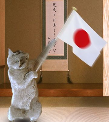 ずっきゅーん!!
