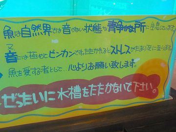 音が無いなら、音に敏感にはならない気もしますが……