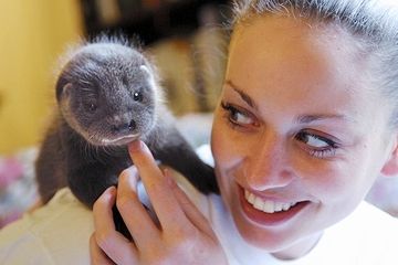 飼えるのは、セレブだけ