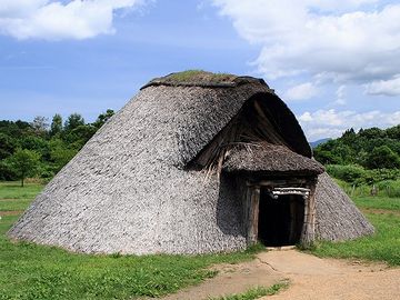 虫さえいなきゃ、住みやすそうです