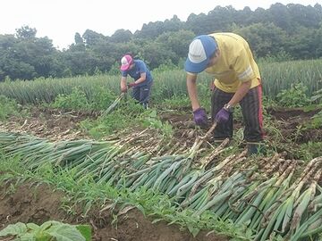 農家の方の苦労がある