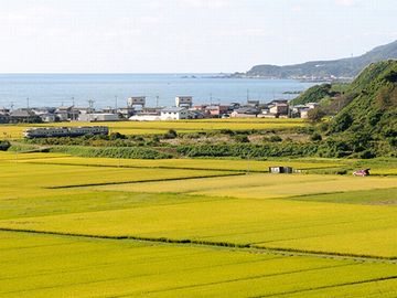 ずーっと見えてたけど?