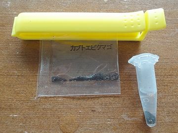 振った後のチューブボトル（右）と残した卵