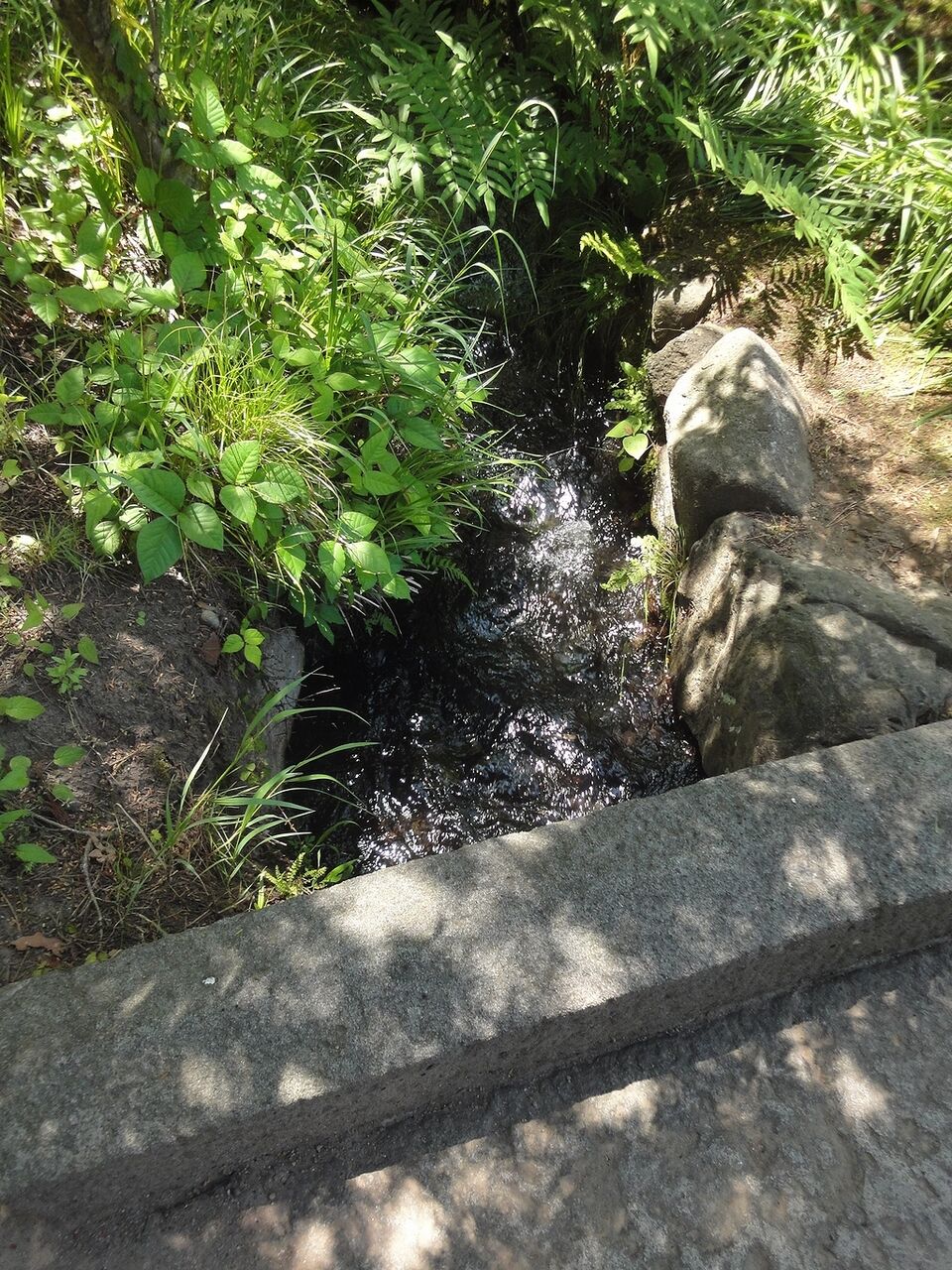 綺麗な水が流れてる