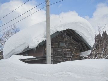 新潟の雪は湿っていて、ひとりでに落ちてはくれません